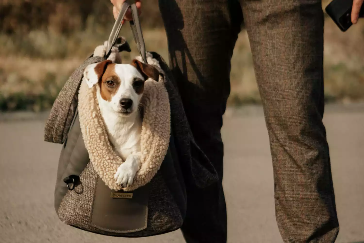 Dog Carrier Purse for Chihuahua