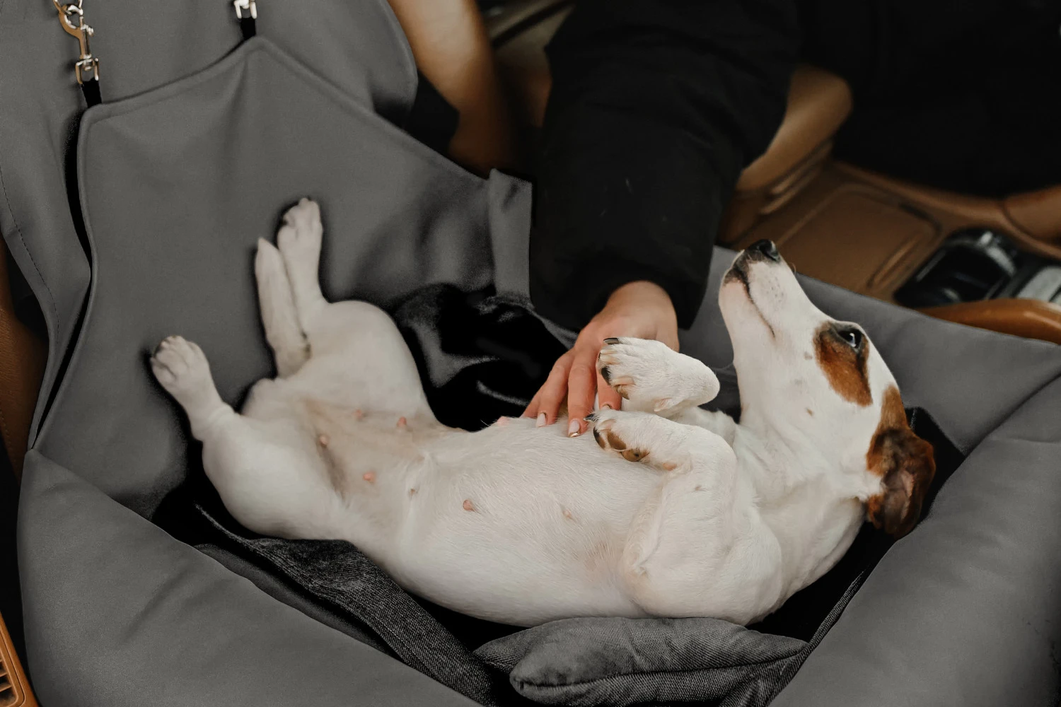 Fox Terriers Dog Car Seat for Audi Q5