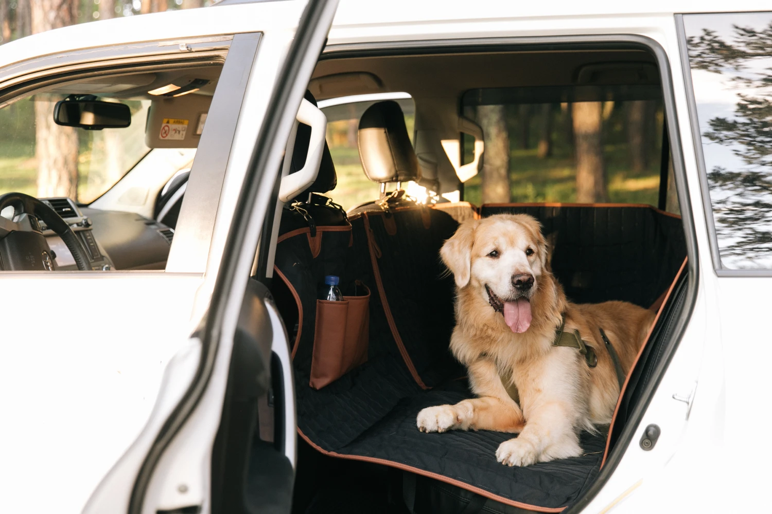 pet seat cover for Buick Enclave