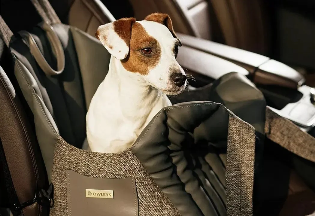 Dog Carrier Purse for Chihuahua