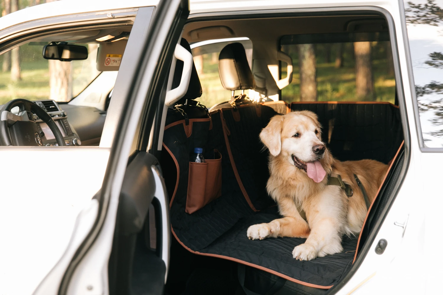 English Springer Spaniels back seat cover for Chevrolet Impala