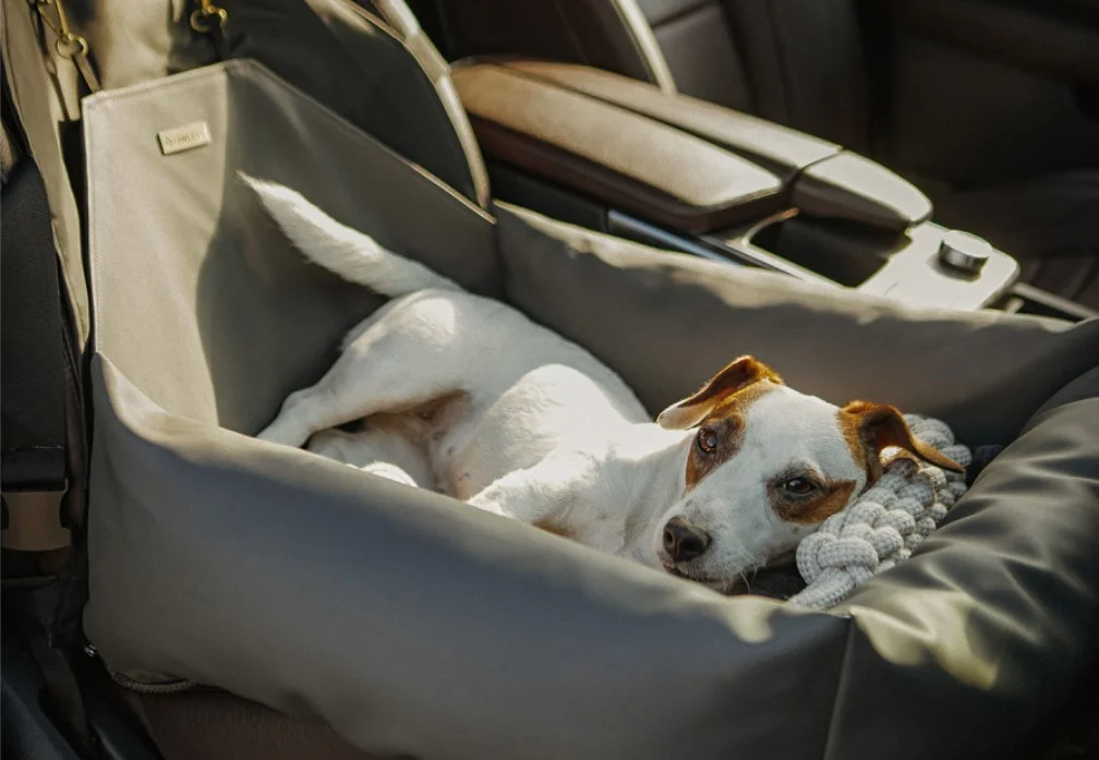 Fox Terriers Dog Car Seat for Audi Q5