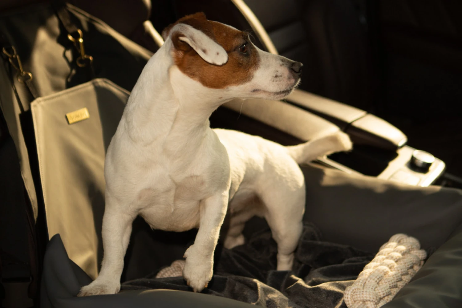 Jeep Compass Dog Car Seat for Basenjis