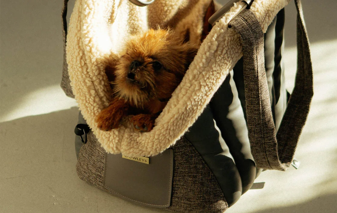 Norwich Terrier Dog Carrier Car Seat for Hyundai Tucson