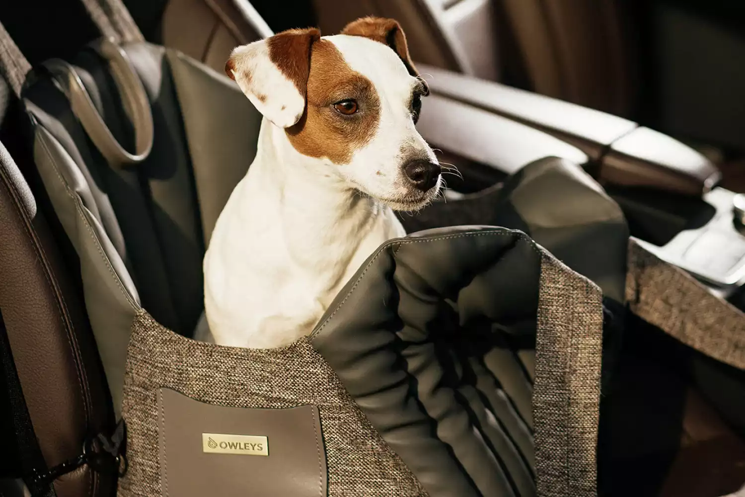 Tibetan Terrier Dog Carrier Car Seat for Ford Transit