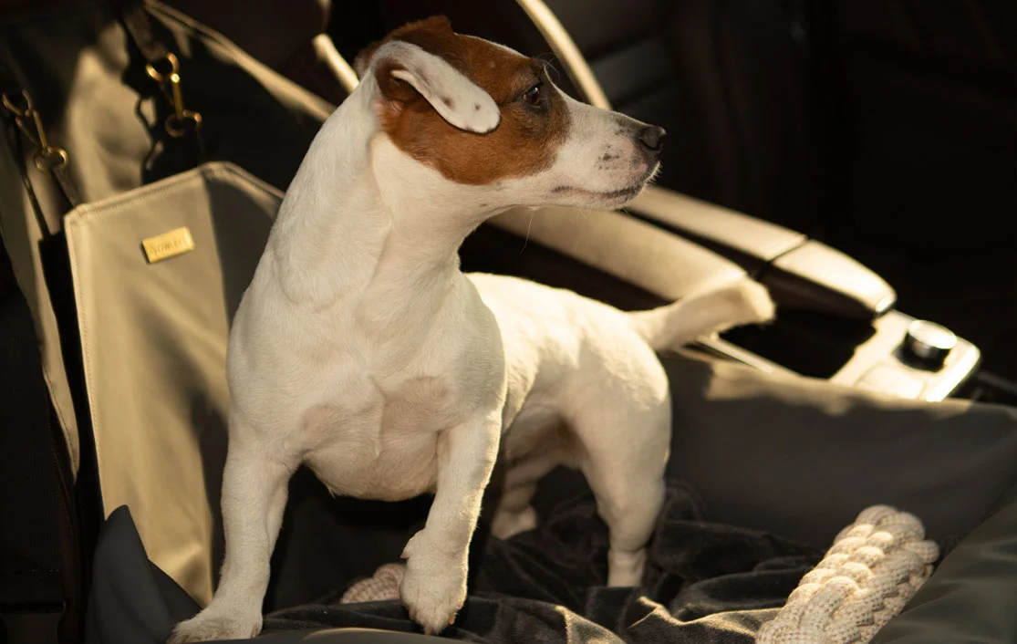 Skye Terriers Dog Car Seat for Kia Sorento