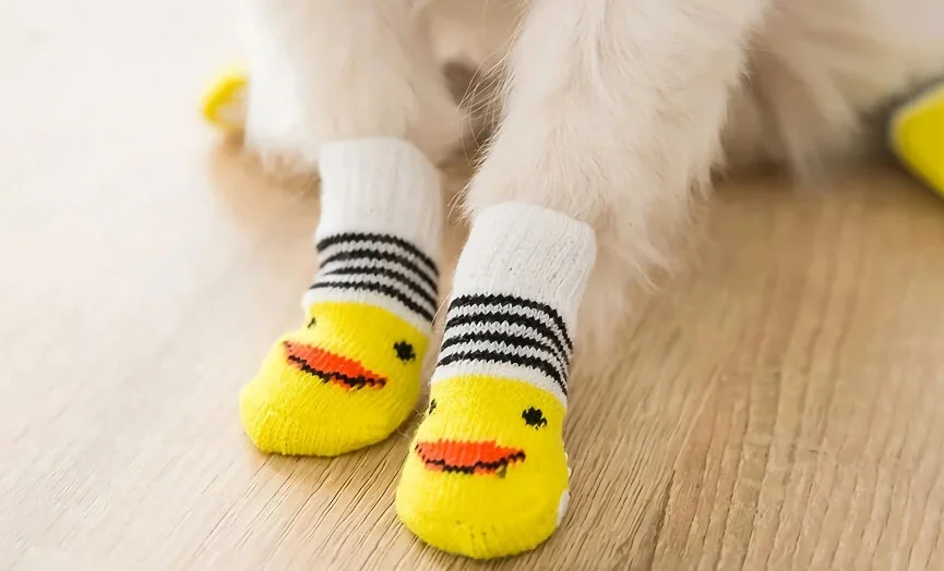Indoor Dog Socks with Skid-Proof Bottoms