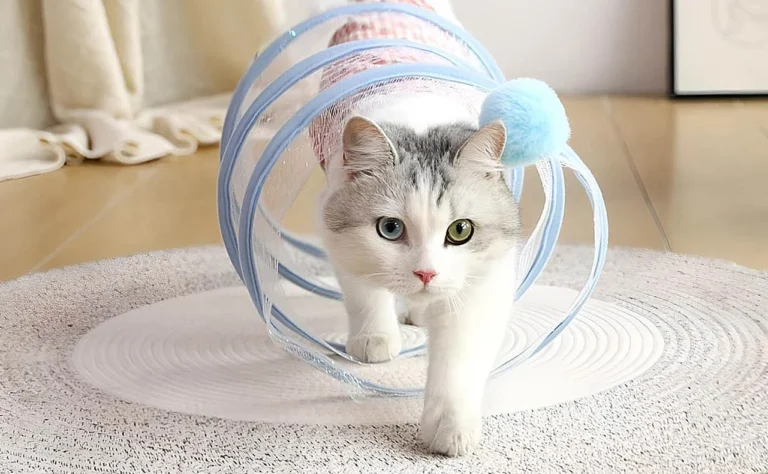 Cat Exercise Tunnel Toy
