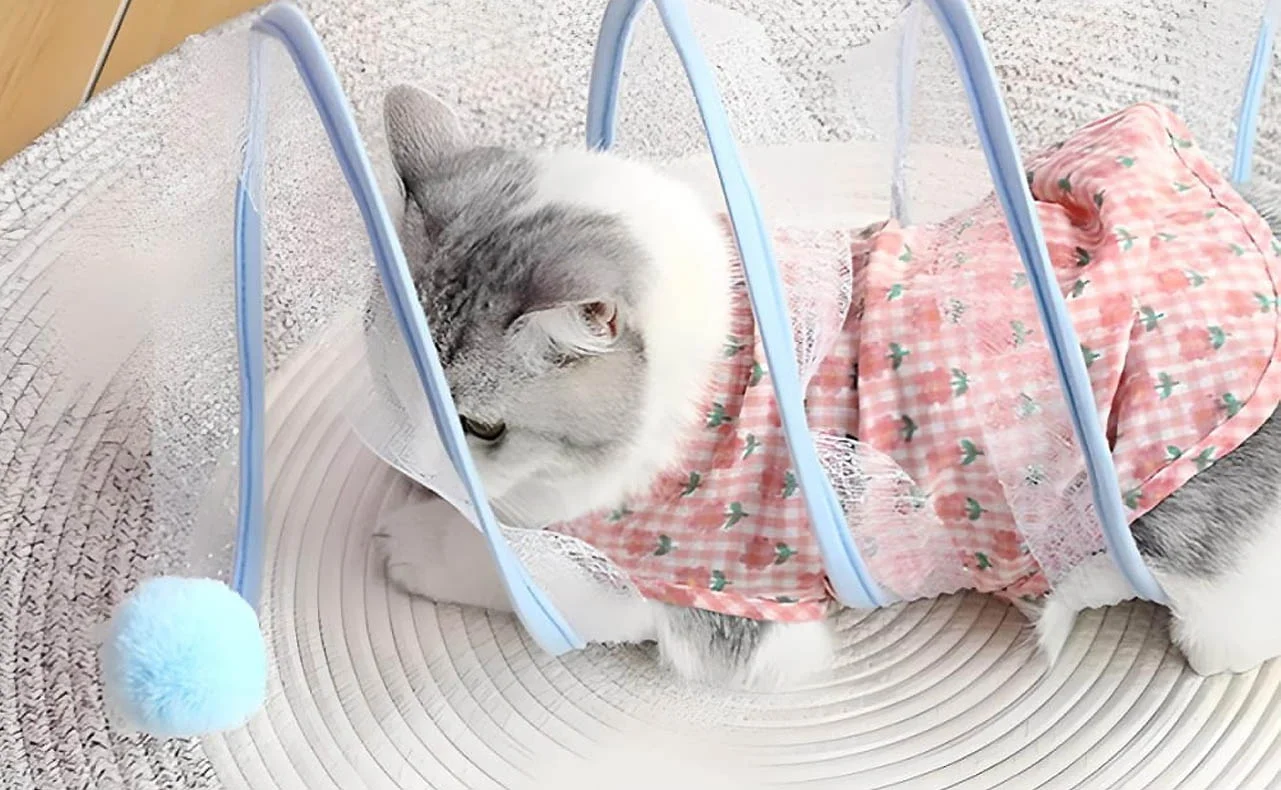 Interactive Hide and Seek Cat Tunnel