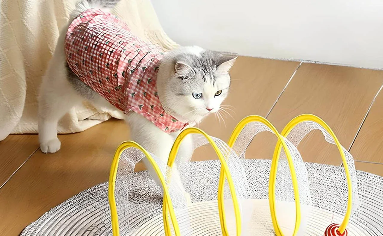 Cat Exercise Tunnel Toy