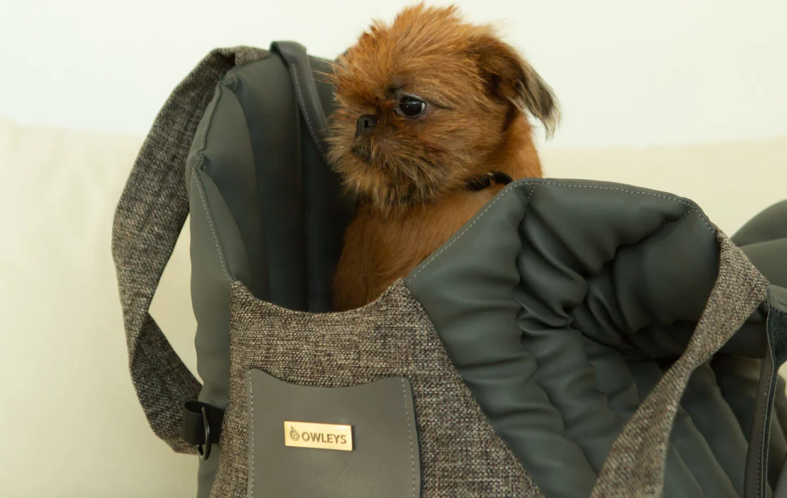 Dog Carrier Purse for Bedlington Terrier