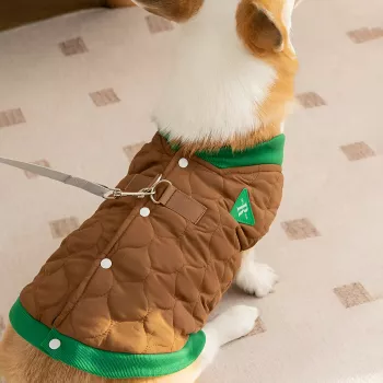 Warm Cotton Dog Coat: Fit Tips for Cozy Winter Walks